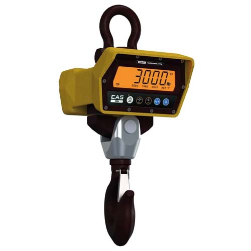 CAS CCB Scale